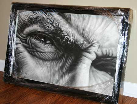 Clint Eastwood (Eyes)